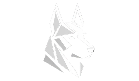 K9-Performance